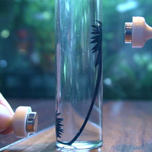 Load image into Gallery viewer, Ferrofluid Magnetic Fluid Liquid Display Funny Ferrofluid Toy Stress Relief Toys Science Decompression Anti Stress Toys New